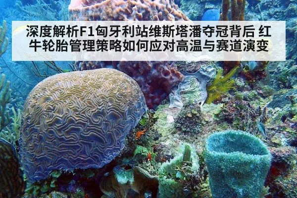 深度解析F1匈牙利站维斯塔潘夺冠背后 红牛轮胎管理策略如何应对高温与赛道演变
